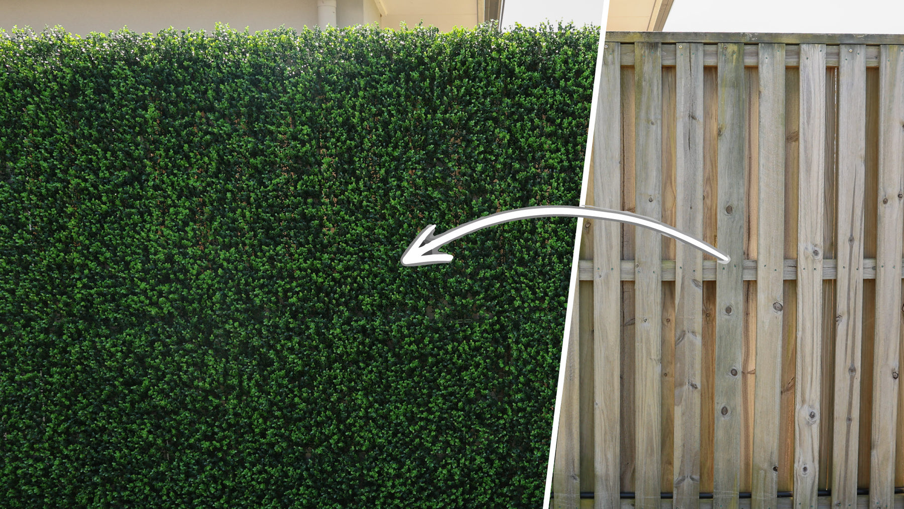 How to install Green Wall on a fence