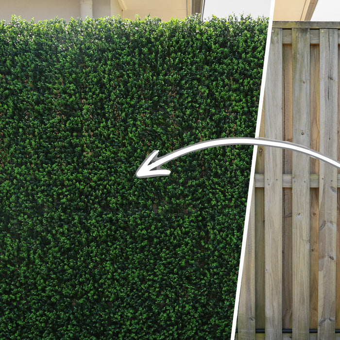 How to install Green Wall on a fence