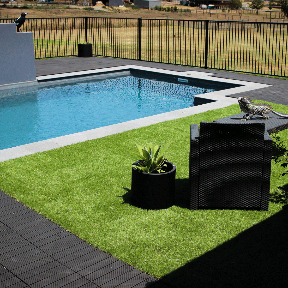 Modern backyard with swimming pool surrounded by patio tiles in charcoal and grass styles, creating a stylish and functional outdoor flooring design